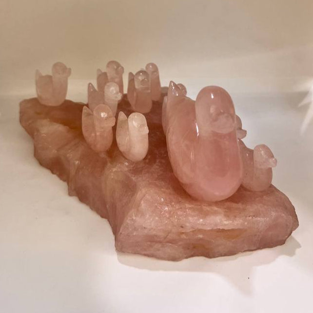 ROSE QUARTZ DUCK FAMLY